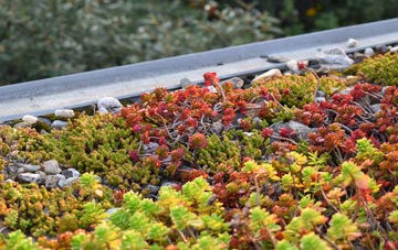 the cost of Crackthorn Corner green roof installation