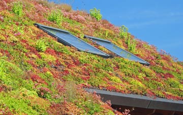 Crackthorn Corner living roof systems