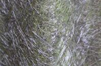 Crackthorn Corner fibreglass roof work