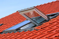 Crackthorn Corner roof window